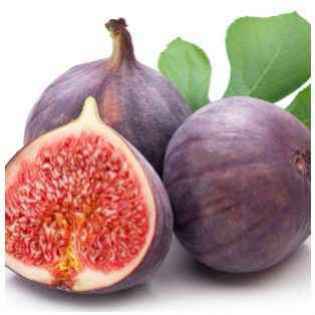 ficus carica proprietà