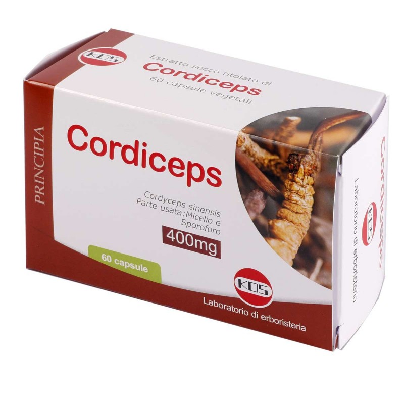 CORDICEPS SINENSIS KOS 60 CAPSULE