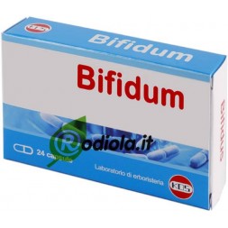 Bifidum 24 capsule KOS