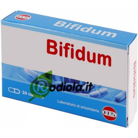Bifidum 24 capsule KOS