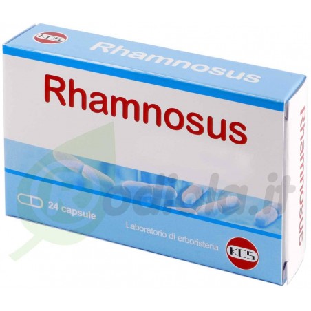 Rhamnosus 24 capsule KOS
