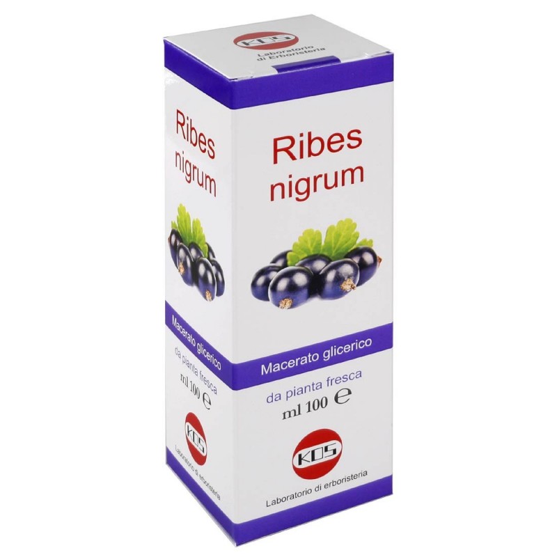 RIBES MACERATO GLICERICO 100ML