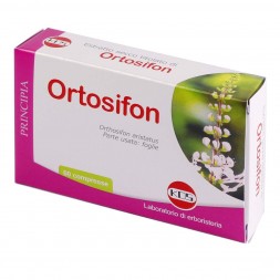 Ortosifon compresse KOS