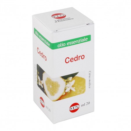 Cedro olio essenziale 20ml - Kos