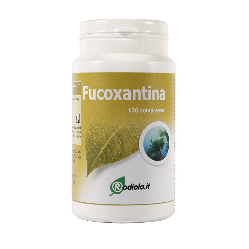 Fucoxantina alga wakame 120 compresse