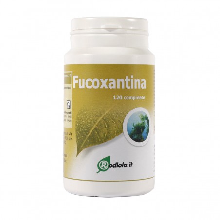 Fucoxantina alga wakame 120 compresse