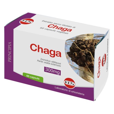 Chaga 60 capsule Kos