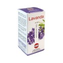 Lavanda Olio Essenziale 20ml