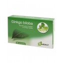 Ginko biloba proprietà