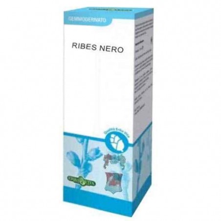 Ribes nero gemme - Erbavita