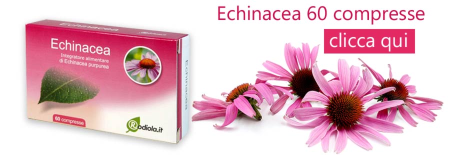 echinacea proprietà 