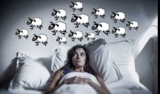 Insonnia: rimedi naturali con erbe officinali