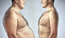 Tipi di grasso corporeo | Rodiola.it