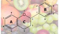 Flavonoidi: cosa sono e perché sono importanti