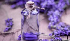 Oli essenziali, proprietà, a cosa servono, aromaterapia