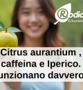 Citrus aurantium , caffeina e Iperico. Funzionano davvero?