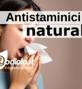 Quali sono gli antistaminici naturali ?