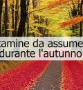 Vitamine da assumere durante l'autunno