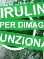 Spirulina per dimagrire 