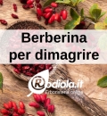 Berberina per dimagrire