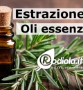 Come si estraggono gli oli essenziali?