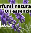Profumazioni naturali? Gli oli essenziali