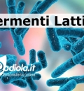 Cosa succede assumendo quotidianamente Fermenti Lattici?