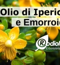 Olio di iperico per le emorroidi
