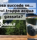 Cosa accade al tuo organismo se bevi sempre acqua gassata