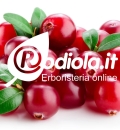 Cranberry per combattere la cistite - Erboristeria